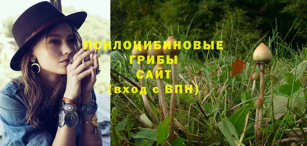 дурь Баксан