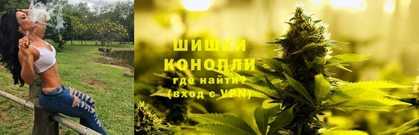 стаф Белокуриха