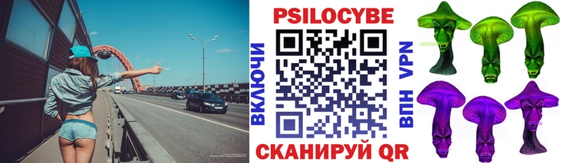 Псилоцибиновые грибы Psilocybe  закладки  Великие Луки 