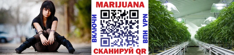Канабис Ganja  Великие Луки 